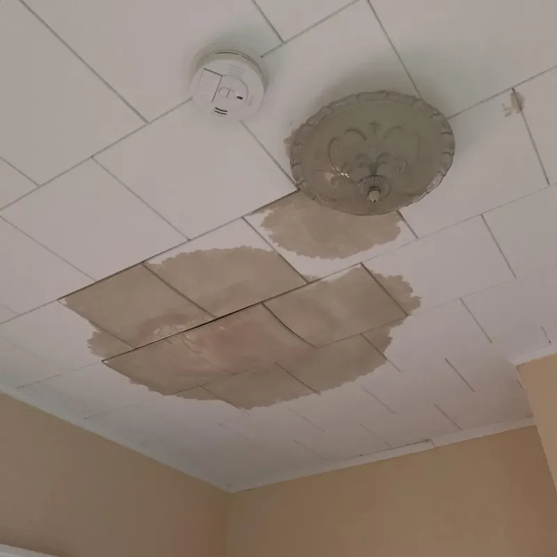 Ceiling Water Damage Repair in Barnsdall, OK