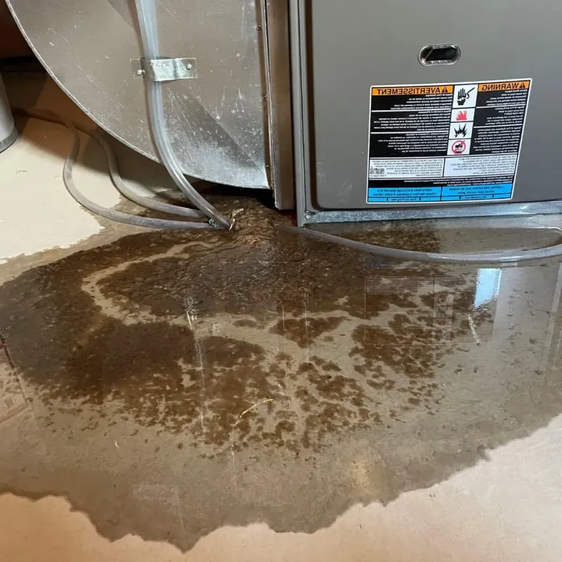 Pipe Burst and Leak Restoration in Barnsdall, OK